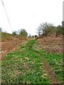 Public footpath up to Cookley Playing Fields, near Cookley in DY11 5XJ
