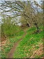 Footpath near Staffs & Worcs Canal, near Cookley in DY11 5XJ