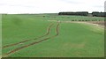 Arable land, Grindonrigg in Duddo