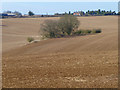 Farmland, Itchen Abbas in SO21 1BW