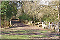 Footpath, New Forest in SO42 7YQ