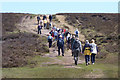 Walkers ascending a hill near Bishop's Dyke in SO42 7YQ