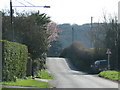 Road towards Henlade in TA3 5DD