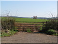 Field near Stoke St Mary in TA3 5DE