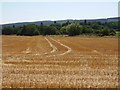 Wheat stubble, Bromfield in SY8 2JU