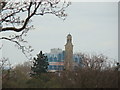 Kew Bridge Steam Museum Tower, viewed from the Xstrata Treetop Walkway in TW9 3AB
