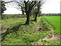 Ditch beside track to Badley Moor, East Dereham in NR20 3BX