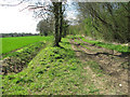 Bridleway to Dumpling Green, East Dereham in NR20 3BX