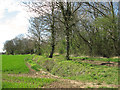 View along a field's edge, Yaxham in NR20 3BX
