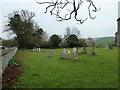 Mid March in Botolphs Churchyard in BN44 3TN