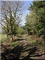 Avon Heath, bridleway in BH24 2WB