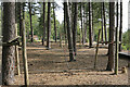 Adventure-type play facilities at West Walk car park, Forest of Bere in PO17 6JR
