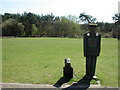 Avon Heath, sculpture in BH24 2FX