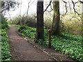 Footpath in Erddig Park in LL13 7UB