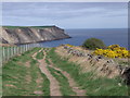 Cleveland Way towards Whitby in YO22 4PH