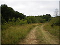 Track from Hermitage Stream in PO7 8HN