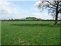 Flat field near the River Lugg in HR4 8DH