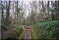 Footpath, Church Wood in TN38 9JE