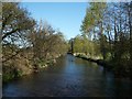 River Frome from Frampton Bridge in DT2 9ND