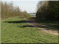 Path leading towards South Kirkby in WF9 3TF