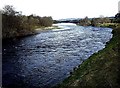 Downstream River Dee in AB31 5QE