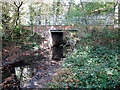 Bridge over Dollis Brook in Barnet