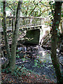 Footbridge over Dollis Brook in Barnet