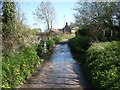 Chetnole: the ford over the Wiggle River in DT9 6NX