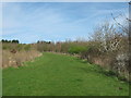 Footpath in Bloors Lane Community Woodland in ME8 7NP