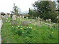 St. Nicholas, Bramber: churchyard (1) in BN44 3FN