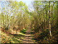 The Sandlings Walk Path in IP12 4RY