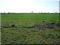 Farmland near Spaldington in Spaldington