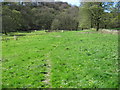 Footpath towards Bank Wood in Barlow & Holmesfield Ward