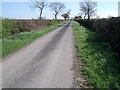 Ings Lane near Spaldington in Spaldington