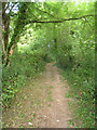 Path north of Tolpuddle in DT2 7EH