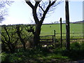 Stile View in B62 0NX