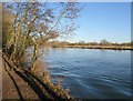 Thames near Shiplake in RG9 4BG