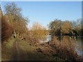 Thames at Shiplake in RG10 8HE