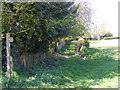 Footpath to Walnuts Lane in IP13 0NL