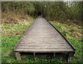 Looking back along the boardwalk in ST9 9QT
