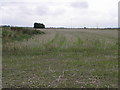 Stubbly Stubble in LN12 2YB