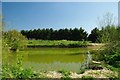 Duck Pond near Bendish Hall in CB10 2UA