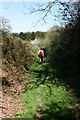 Footpath in Holwell Combe in TA5 2EF