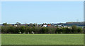 2011 : Field near Showell Nursery in SN15 2NP