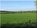 Looking across the fields to Dawson Lane in PR7 7BA