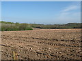 A ploughed field looking towards Cuerden Valley in PR7 7BA