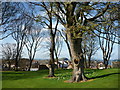East Lothian Townscape : Spring Sunshine in North Berwick in EH39 4LD