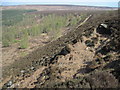 Fallinge Edge from Raven Tor in Beeley