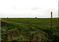 Field and footpath in LE13 1ER