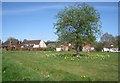 Newnham Green in spring in RG27 9AJ